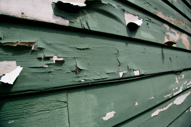 Best Commercial Junk Removal  in Lawtey, FL